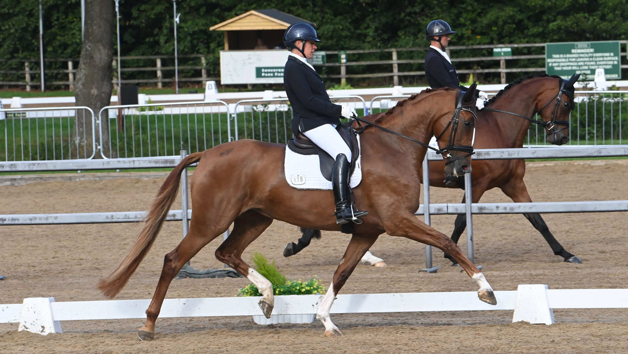 Fiona Bigwood in a navy jacket and hat rides chestnut mare BPS Supreme Bella in the young horse classes at the National Dressage Championships