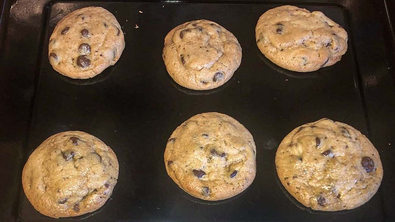 Ninja Foodi 10-in-1 XL Pro Air Fry Oven bakes cookies