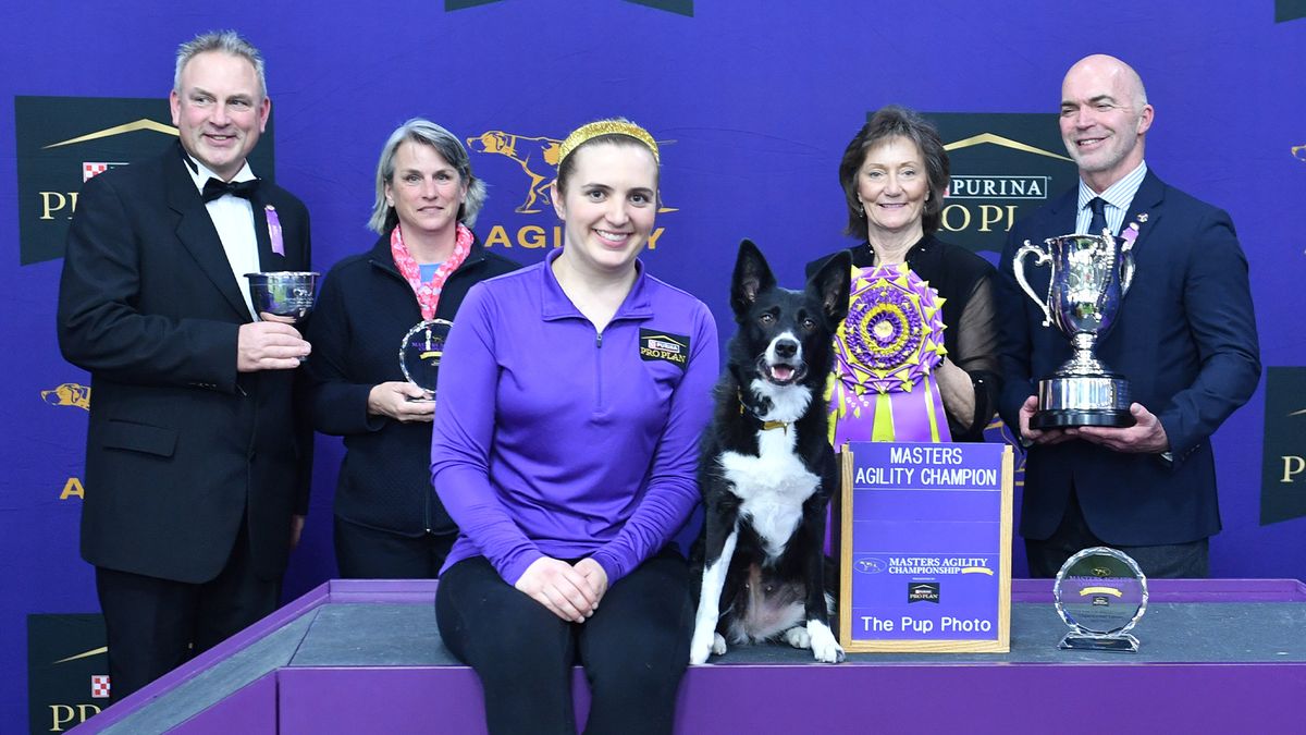 Winner of Annual Agility Masters 2025 at Westminster Dog Show. Vanish (Border Collie) and Emily Klarman (handler)