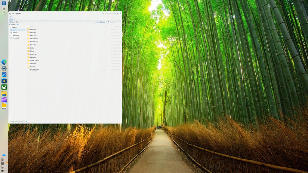 A semi-transparent GroDock File Explorer window over a bamboo forest wallpaper on a computer desktop.