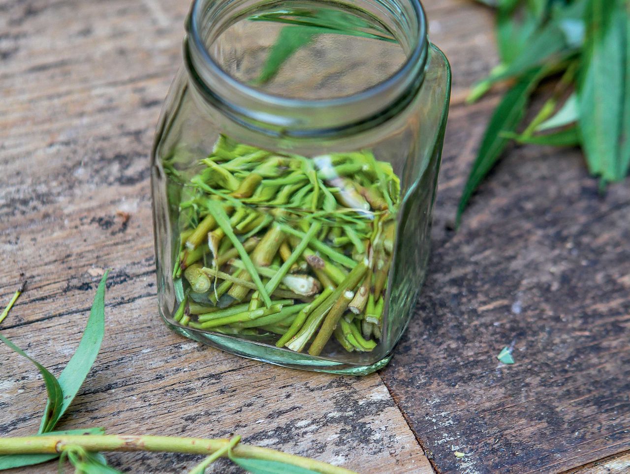 willow water being made in a jar