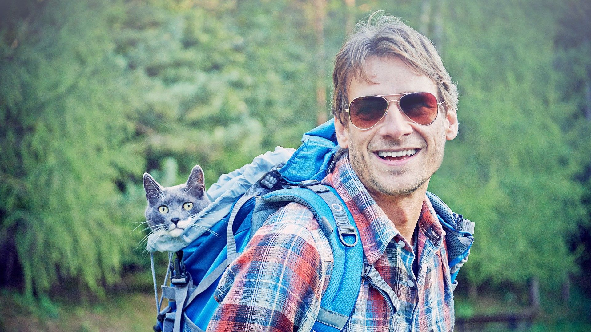Hiking with cats top 10 tips to get safely out on the trail PetsRadar
