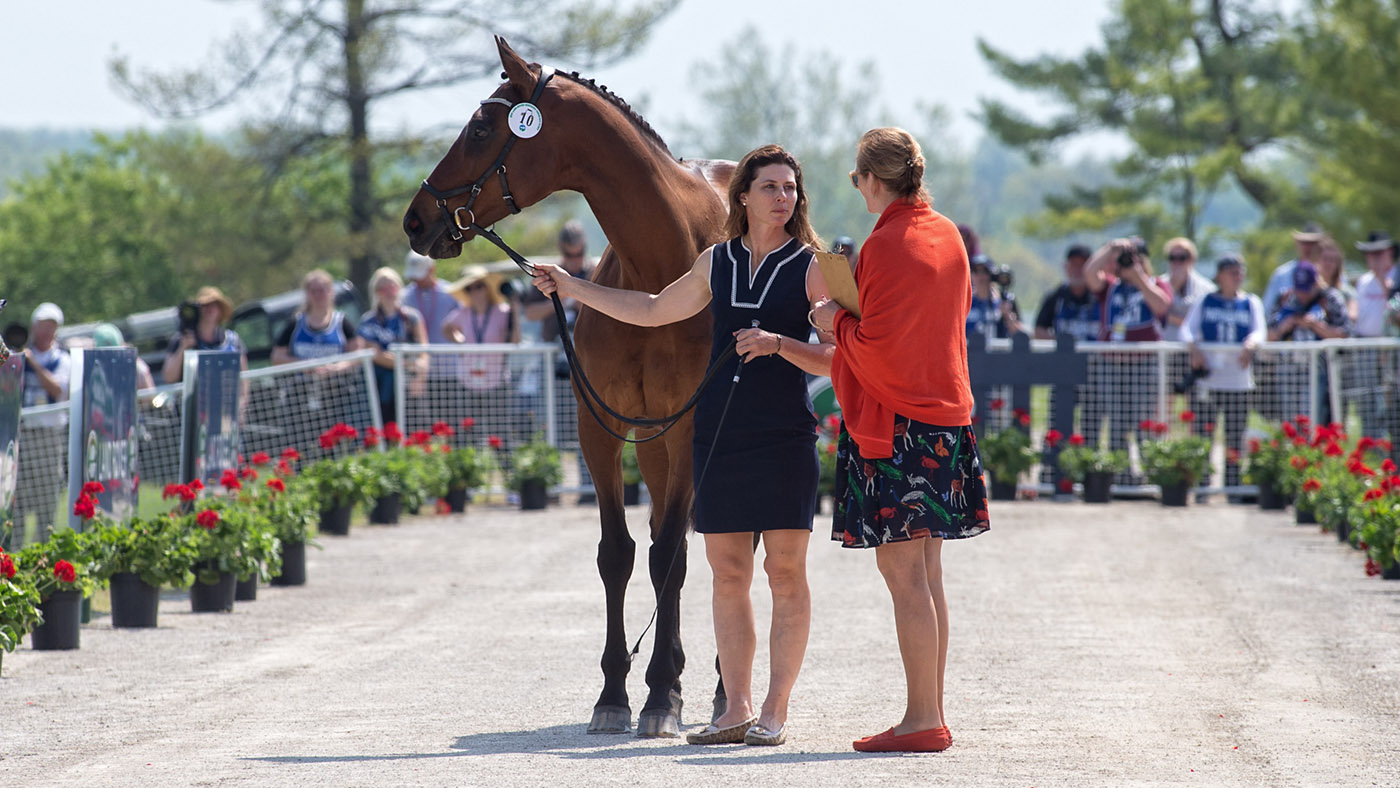 Kentucky first trot-up