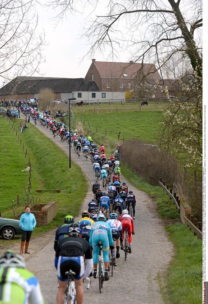 The Dwars door Vlaanderen peloton