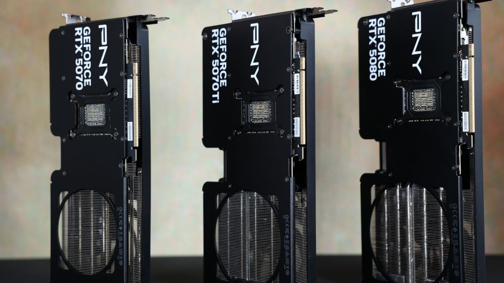 The branding on the PNY Slim RTX 50 Series GPUs