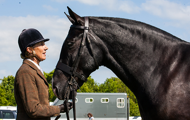 364 Its Abracobdabra &amp;amp; Jayne Ross - Heavyweight Cob