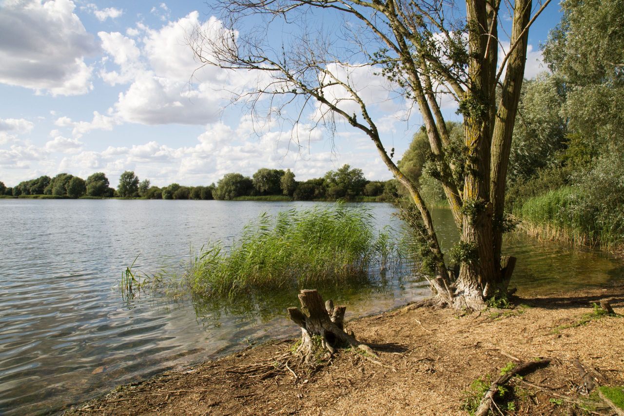 Fen Drayton Lakes, Cambridgeshire.