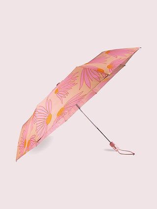 cute umbrellas