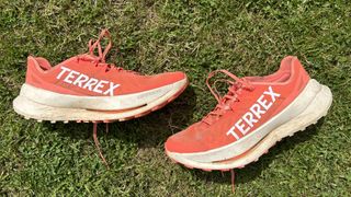 Adidas Terrex Agravic Speed Ultra running shoes