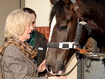 HRH_meeting_a_horse_in_the_equine_stable_yard.jpg
