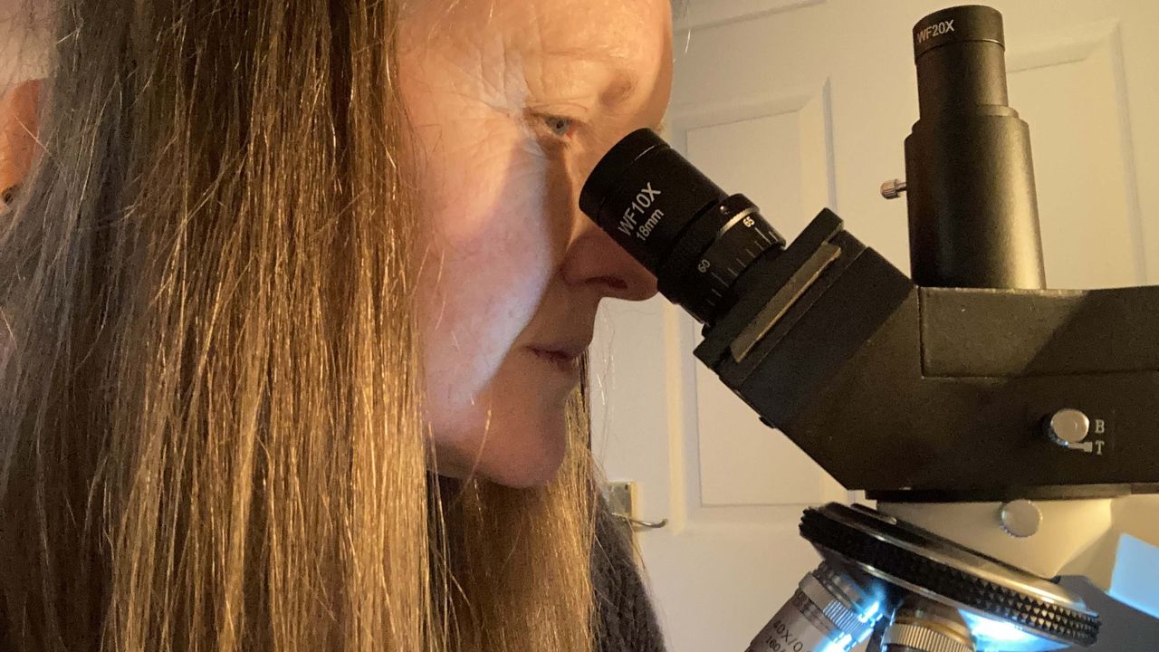 Celestron Labs CB2000C Advanced Biological Trinocular Microscope