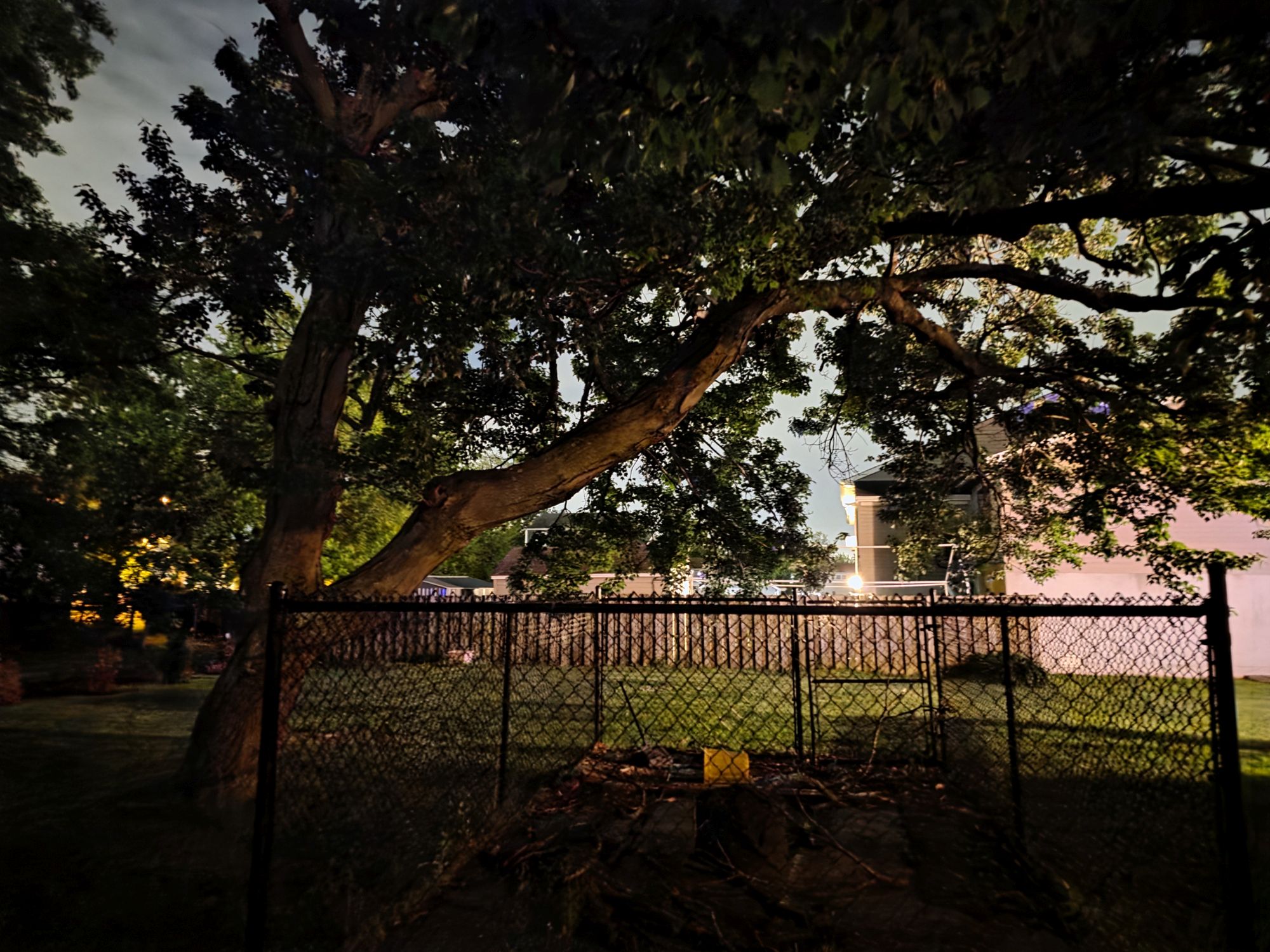 Samsung Galaxy S25 Edge camera sample.