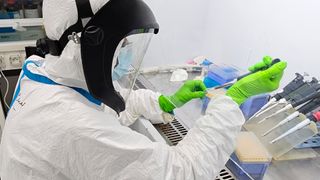 Scientist dressed in full protective white suit, face mask and green gloves, extracts DNA from fossil remains in a lab.
