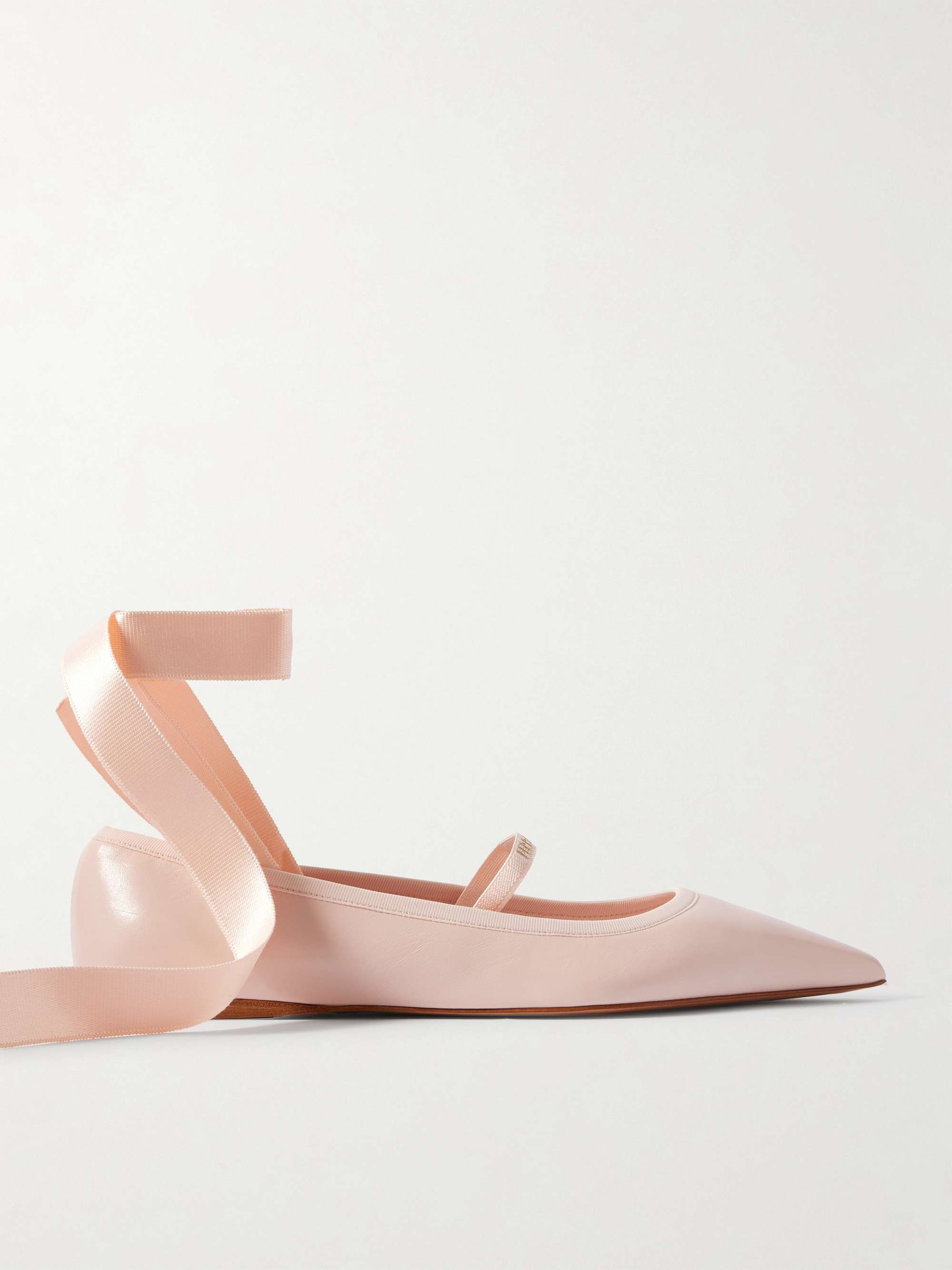 Carice Satin-Trimmed Leather Ballet Flats