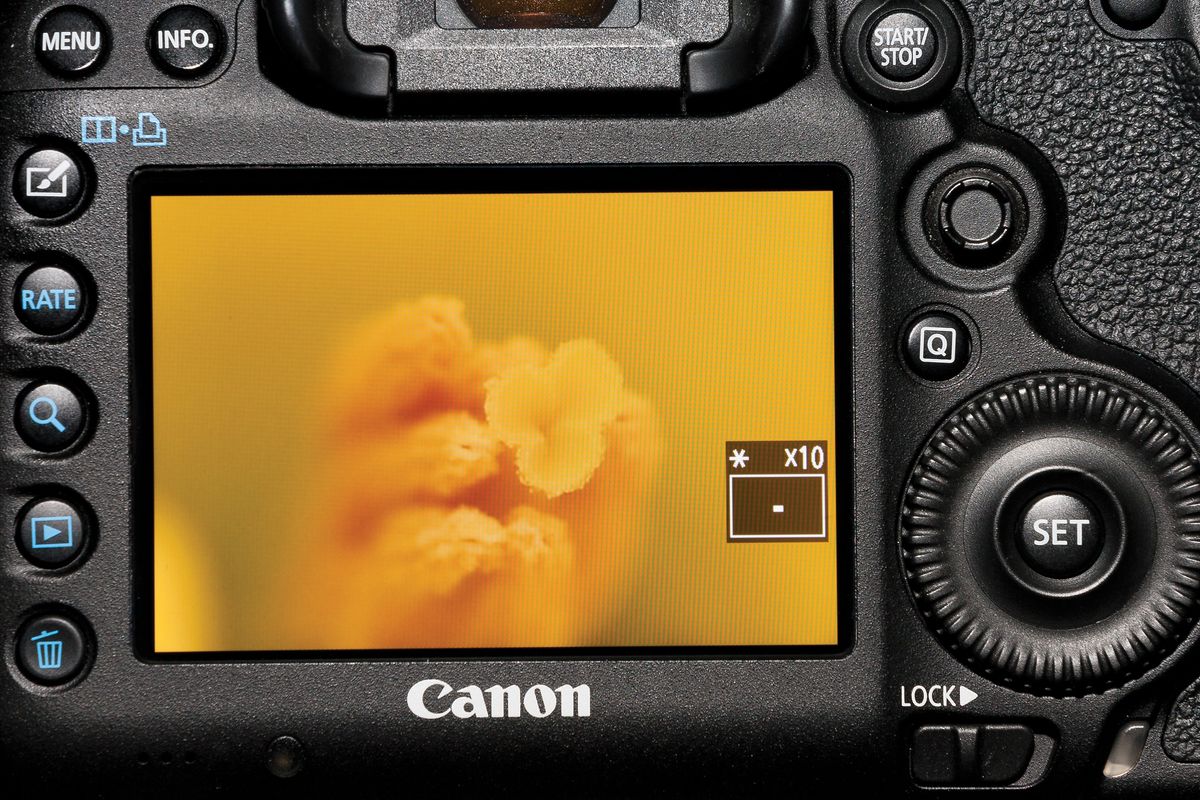 50 Canon Camera Tips Everything You Need To Get The Best Out Of Your Canon Dslr Digital Camera World