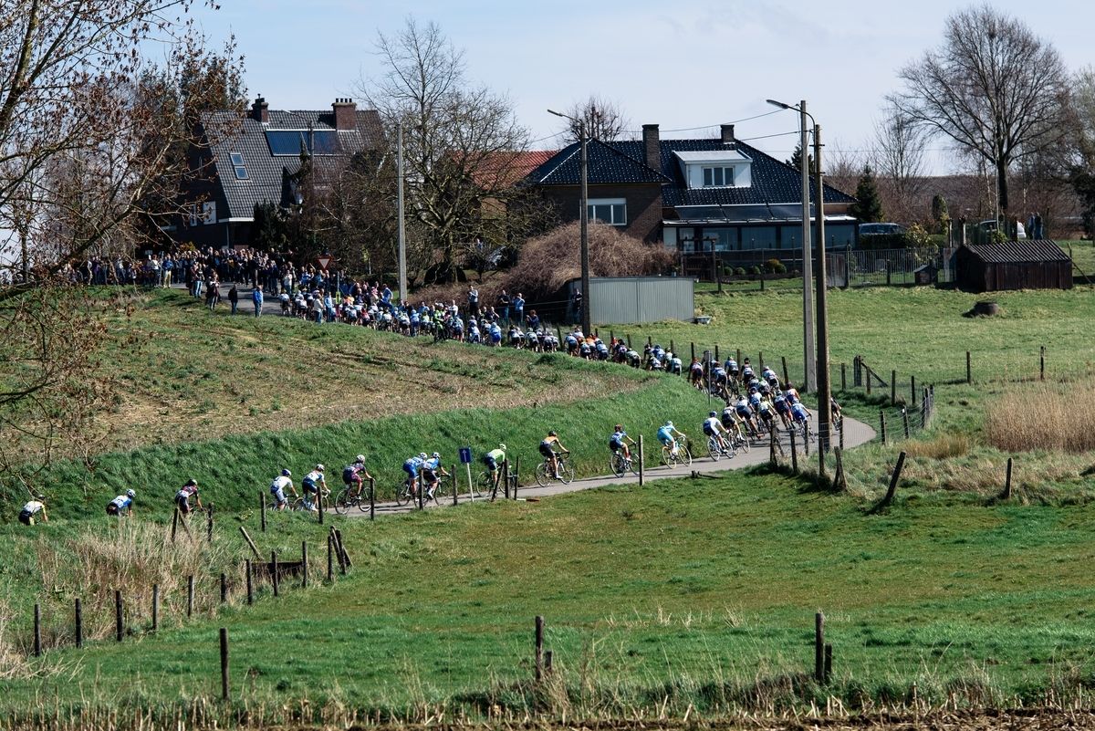 The landscape of Flanders