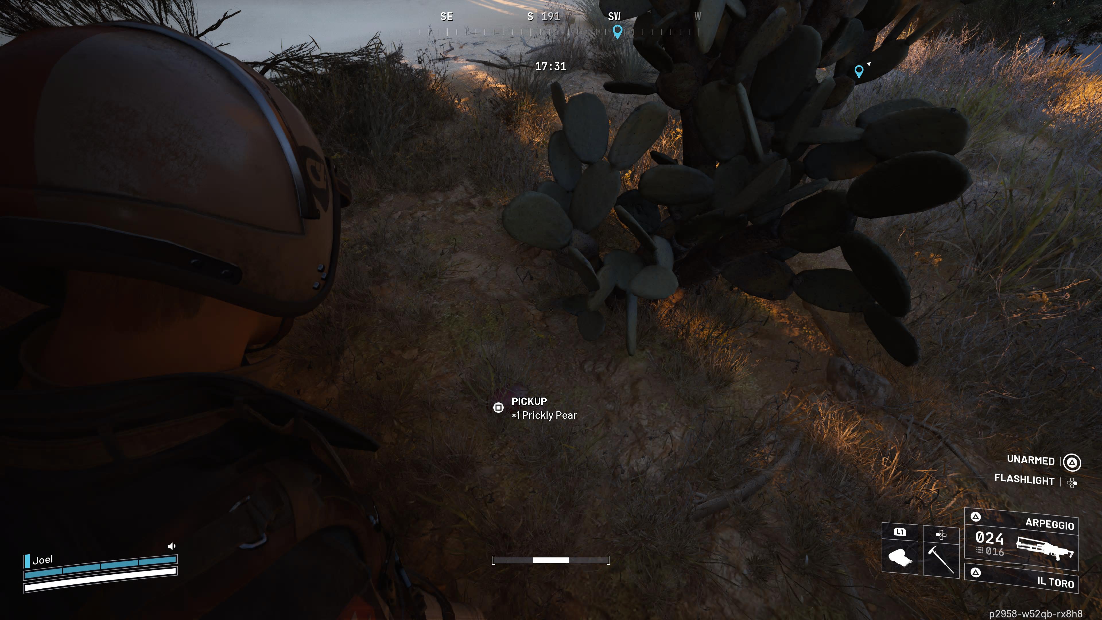 Arc Raiders Prickly Pears