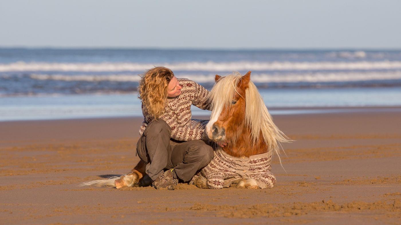 Emma Massingale sitting with a pony on a beach: introduction to liberty training