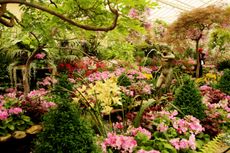 The 1930 Spanish Mission-style conservatory at Fitzroy Garden.