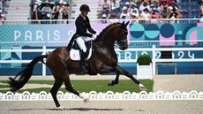 Daniel Bachmann Anderson in the grand prix Olympic dressage.