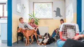 People sat in vet's waiting room with cats and dogs