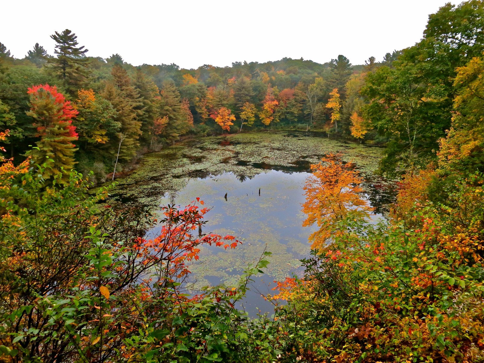 A natural reserve boasting autumnal shades of green, red, and orange.