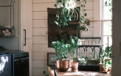 Joanna Gaines' laundry room