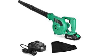 cordless leaf blower vacuum