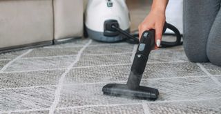 person steam cleaning carpet to suggest how to get rid of bed bugs