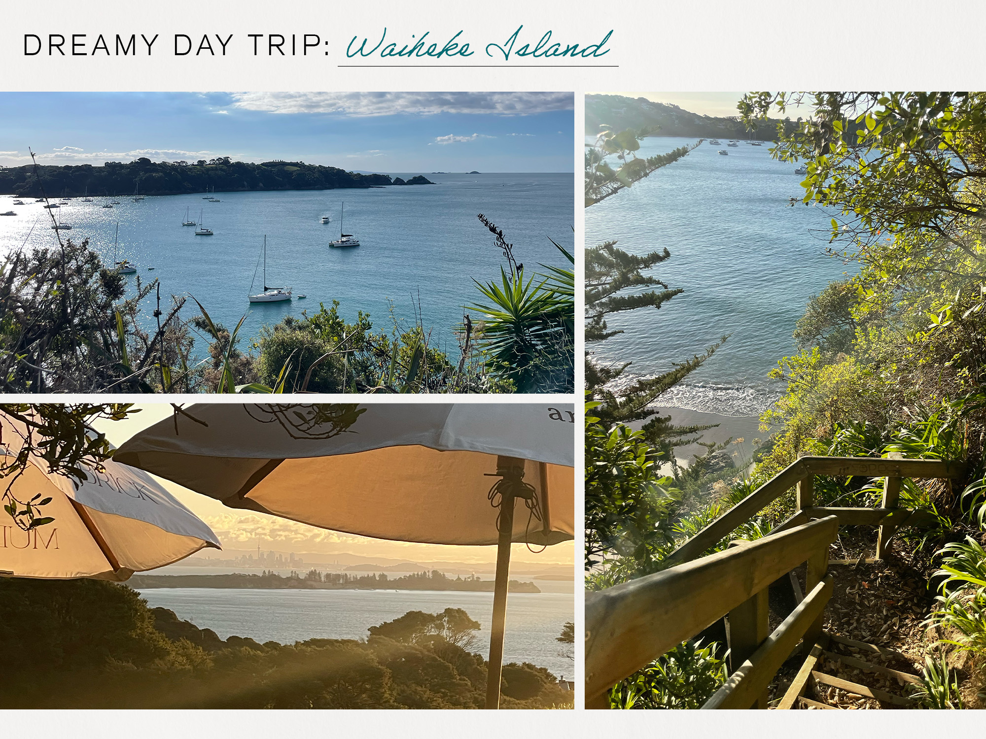 Emilia Wickstead's Auckland travel guide