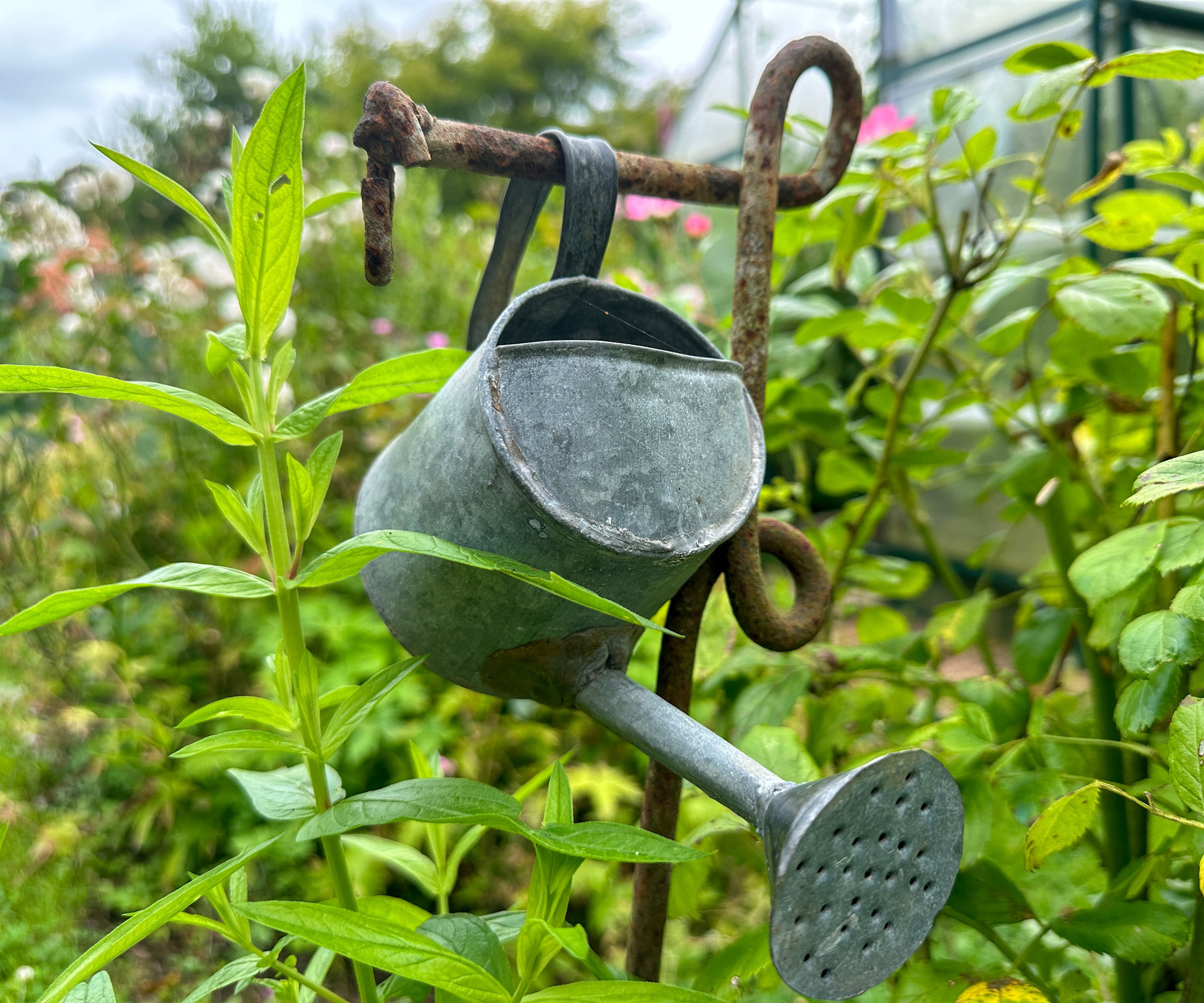 watering can hanging on hook in garden