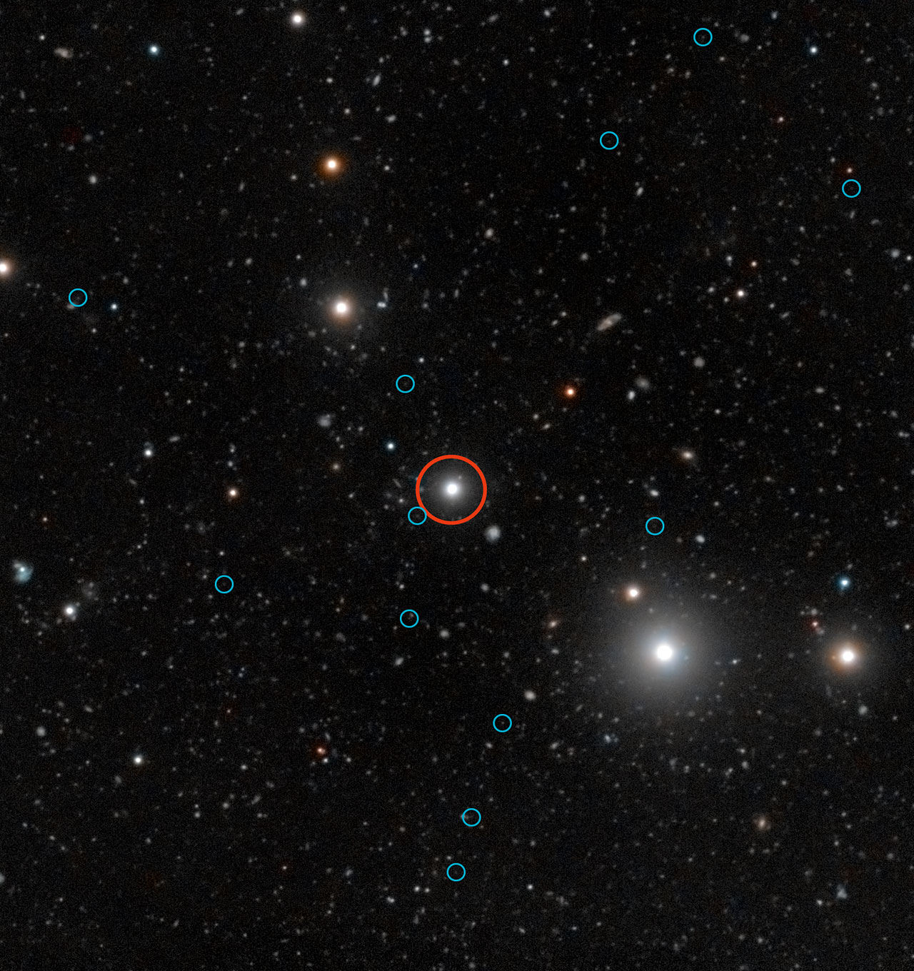 This image from the European Southern Observatory shows so called &quot;dark galaxies&quot; in blue circles around a bright quasar (red circle).