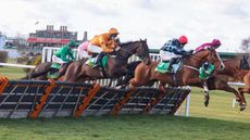 Cormier, ridden by Sean Quinlan, could win a &pound;100,000 bonus at the Cheltenham Festival