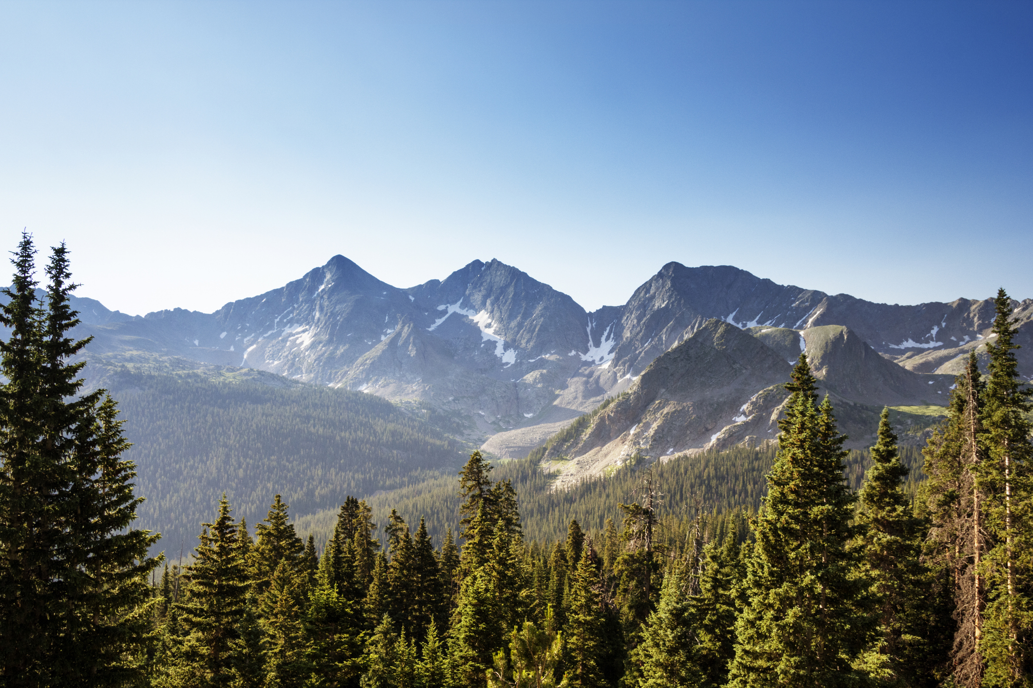 San Juan National Forest filled with evergreen trees and mountains