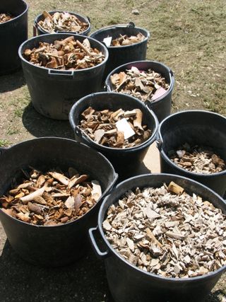 Trash cans full of bones collected from the Corinth theater.