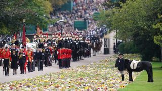 Emma, the monarch's fell pony stands by, as the Procession following the coffin of Queen Elizabeth II, aboard the State Hearse, travels up The Long Walk in Windsor on September 19, 2022, making its final journey to Windsor Castle after the State Funeral Service of Britain's Queen Elizabeth II.