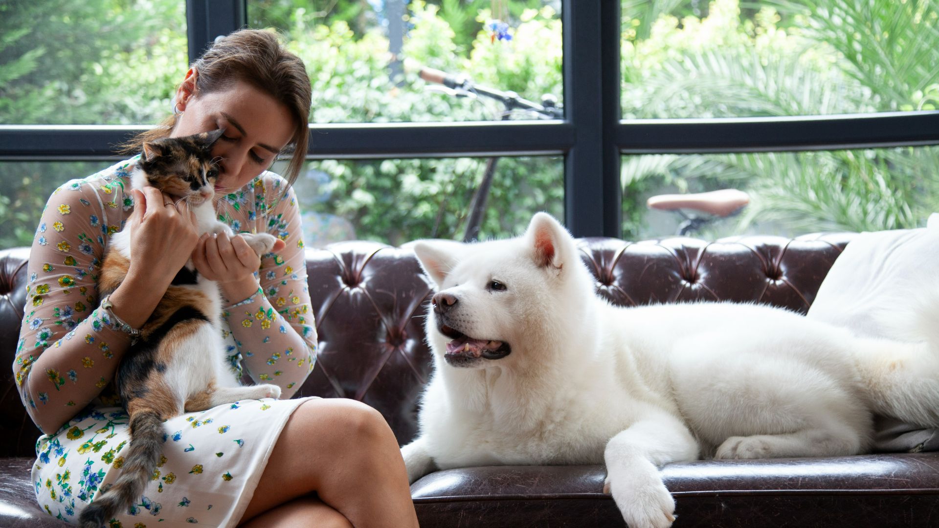 woman sitting with dog and cat