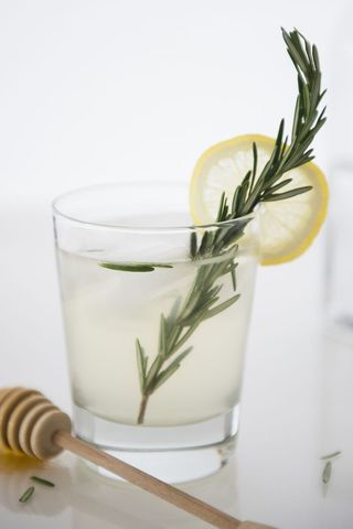 Reformation Cocktail
