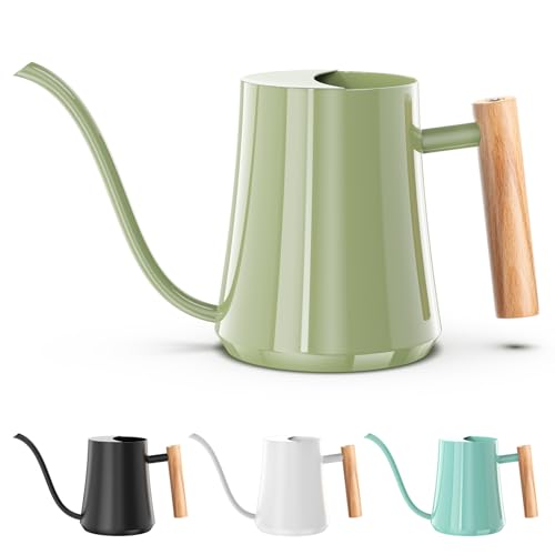 Watering Can Indoor Plants 35oz Sage Green Water Can Indoor Metal Small Water Can Pot With Long Spout for House Bonsai Plants Garden Flower Decorative