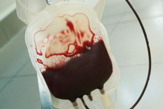 Blood Donation Bag