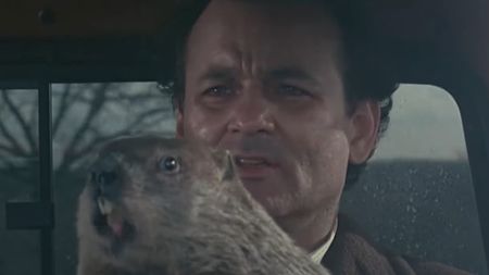 Bill Murray drives in a car with a groundhog on his lap.