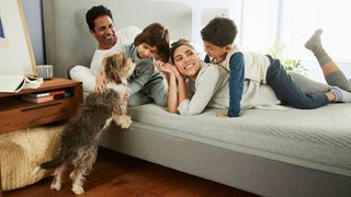 Casper vs Leesa mattress: a family sprawl out together on a Casper mattress