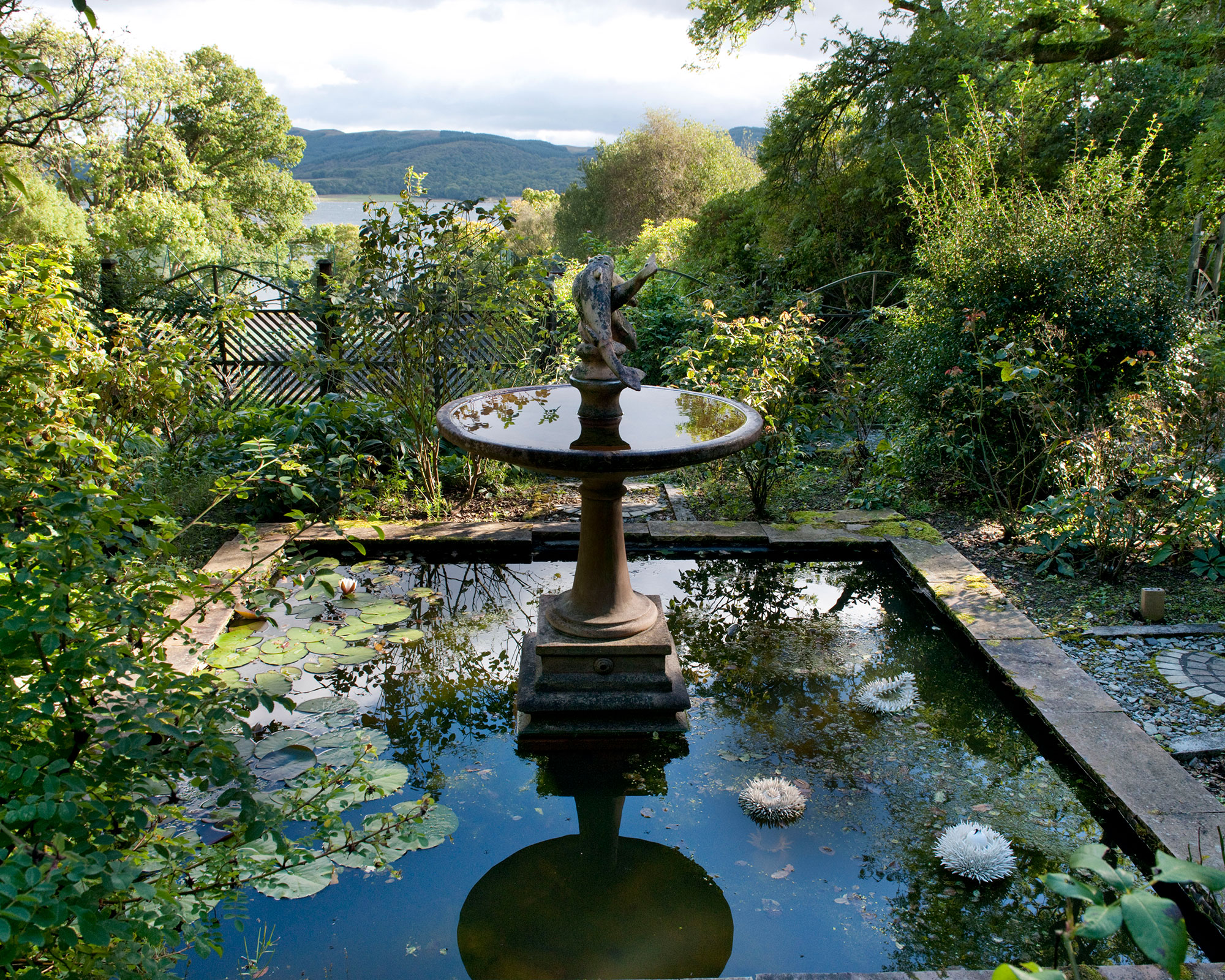 A small pond with a water feature surrounded by trees and plants