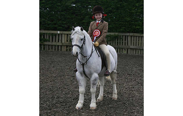 BSPS WALES WORKING HUNTER SHOWMoor Farm EC, Haverfordwest 12 February
