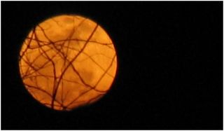 Full Moon over Mechanicsburg, Pennsylvania