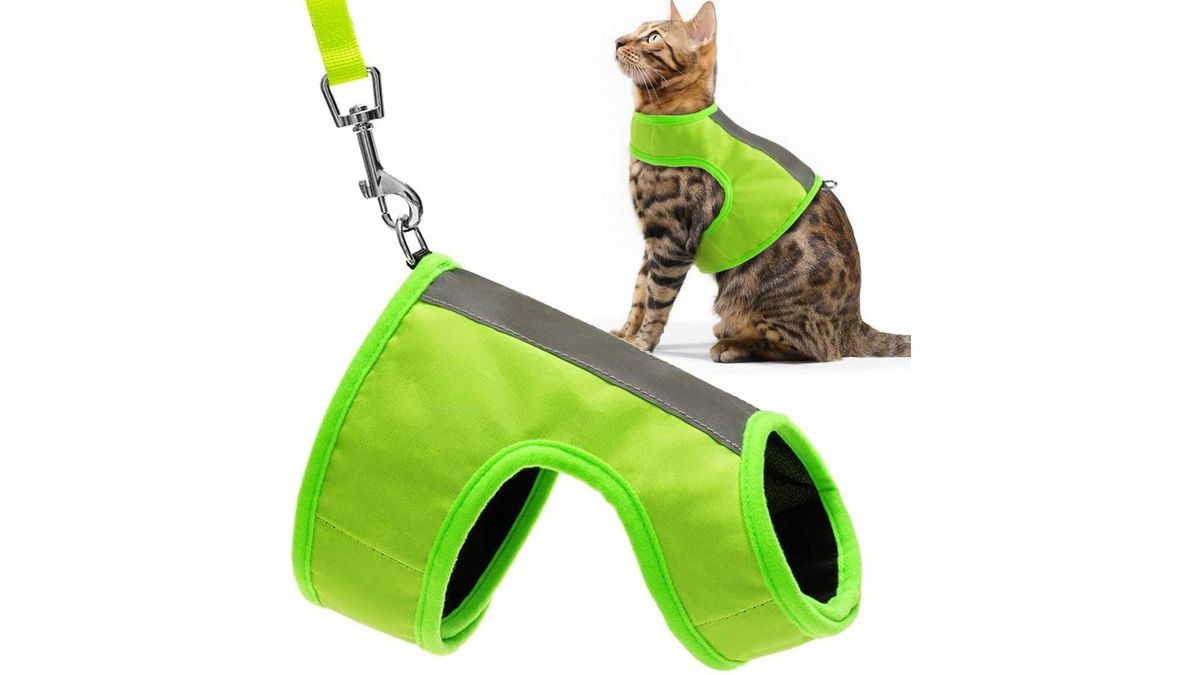 Whats The Best Cat Harness At Carl Phifer Blog