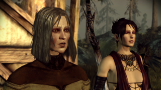 Morrigan, the Witch of the Wilds, in Dragon Age: Origins