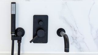 black toilet fixtures