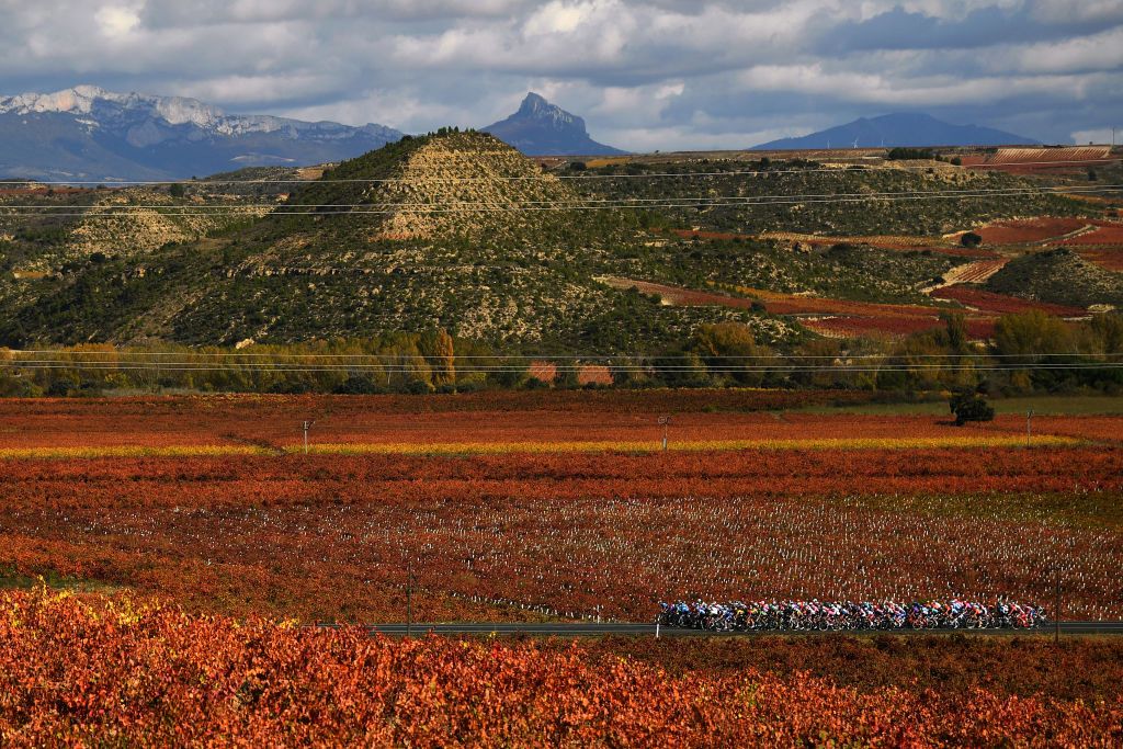 ALTODEMONCALVILLO SPAIN OCTOBER 28 Peloton Vineyards Autumn Landscape during the 75th Tour of Spain 2020 Stage 8 a 164km stage from Logroo to Alto de Moncalvillo 1490m lavuelta LaVuelta20 on October 28 2020 in Alto de Moncalvillo Spain Photo by David RamosGetty Images