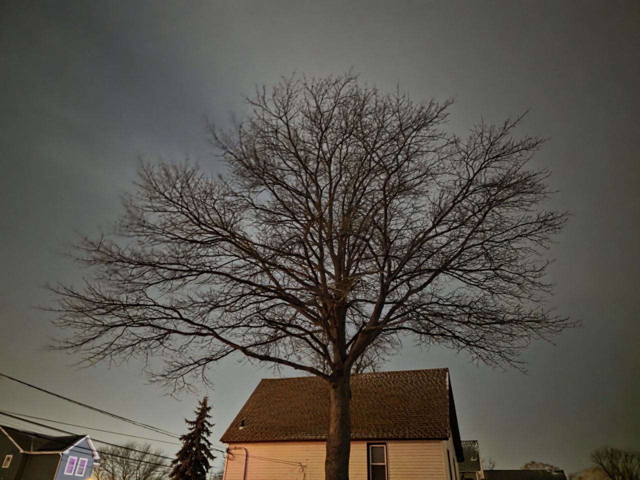 Samsung Galaxy S25 Ultra low light.